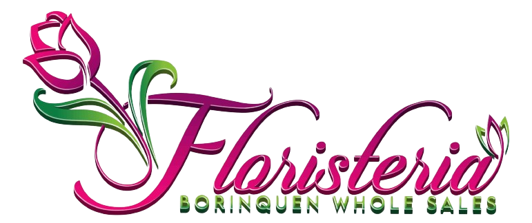 Boriquen Wholesasles, LLC