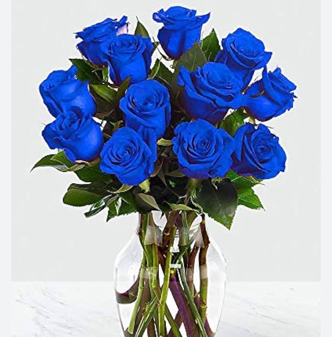 ROSAS AZULES
