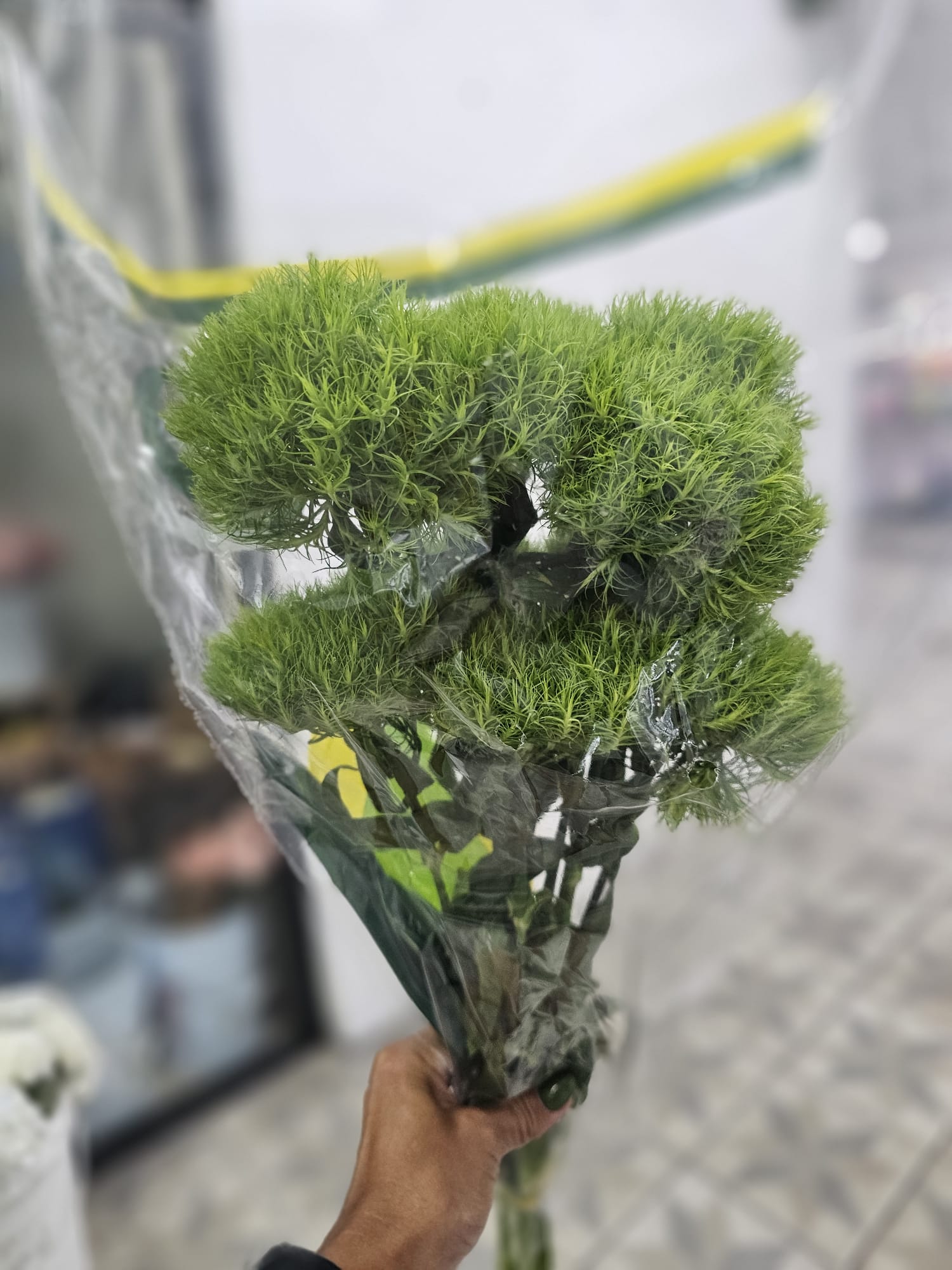 GREENBOL