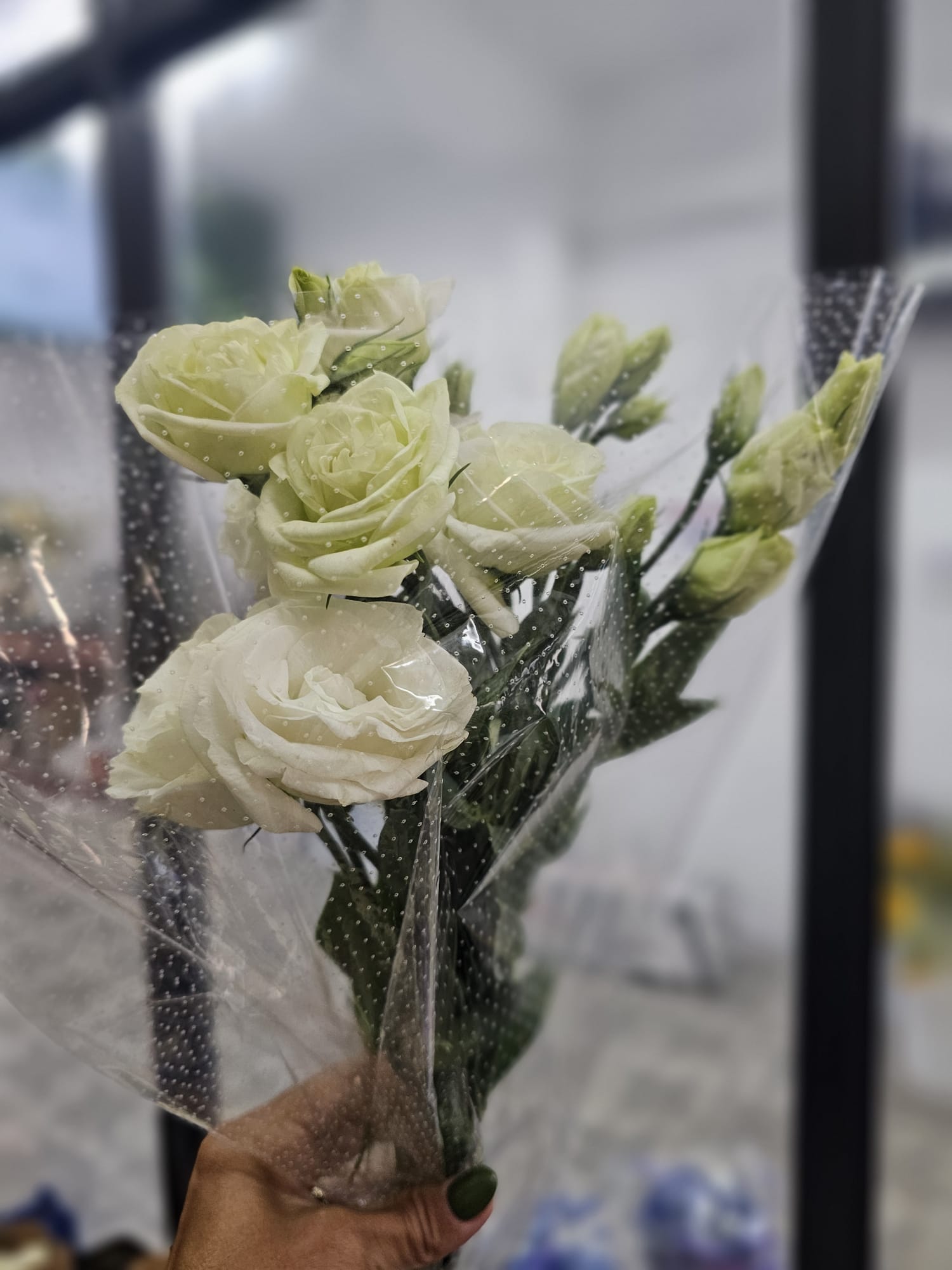 LISIANTHUS